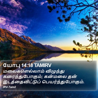 யோபு 14:18 TAMIRV Bible Verse Image