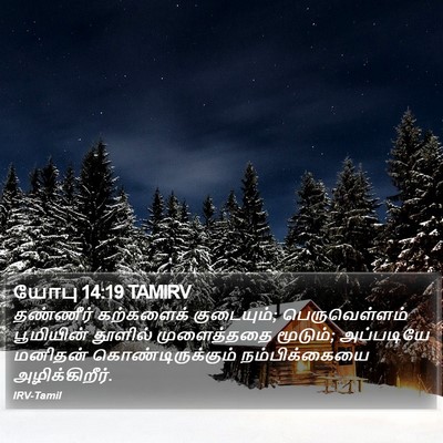 யோபு 14:19 TAMIRV Bible Verse Image