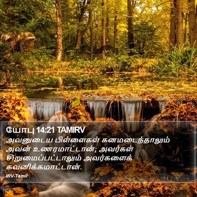 யோபு 14:21 TAMIRV Bible Verse Image
