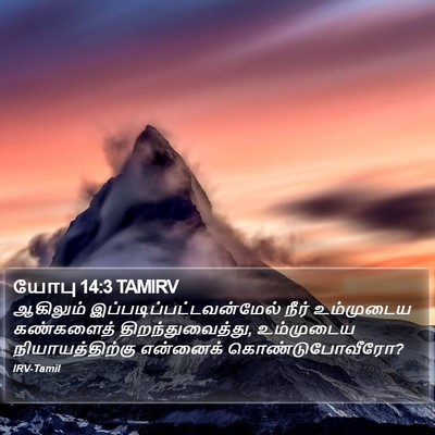 யோபு 14:3 TAMIRV Bible Verse Image