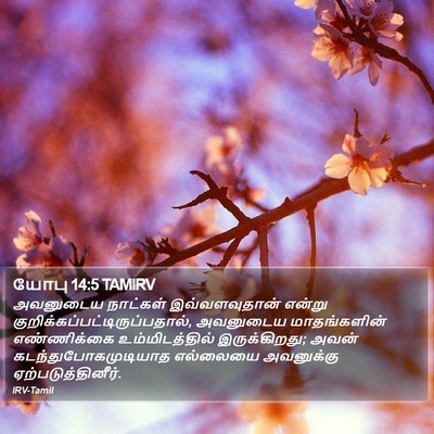 யோபு 14:5 TAMIRV Bible Verse Image