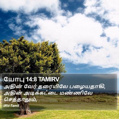 யோபு 14:8 TAMIRV Bible Verse Image