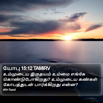யோபு 15:12 TAMIRV Bible Verse Image
