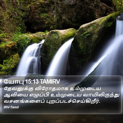 யோபு 15:13 TAMIRV Bible Verse Image