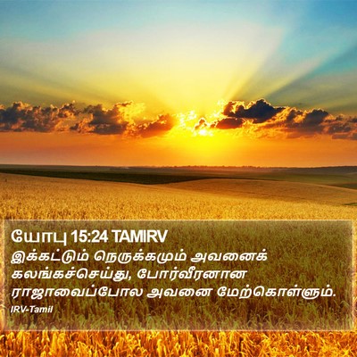 யோபு 15:24 TAMIRV Bible Verse Image