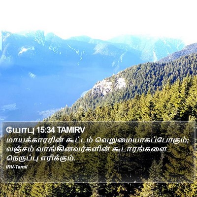 யோபு 15:34 TAMIRV Bible Verse Image