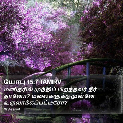 யோபு 15:7 TAMIRV Bible Verse Image