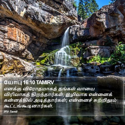 யோபு 16:10 TAMIRV Bible Verse Image