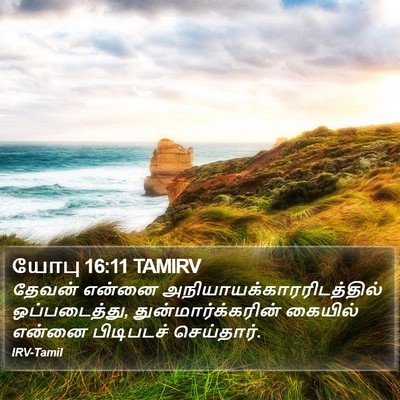 யோபு 16:11 TAMIRV Bible Verse Image