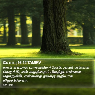 யோபு 16:12 TAMIRV Bible Verse Image