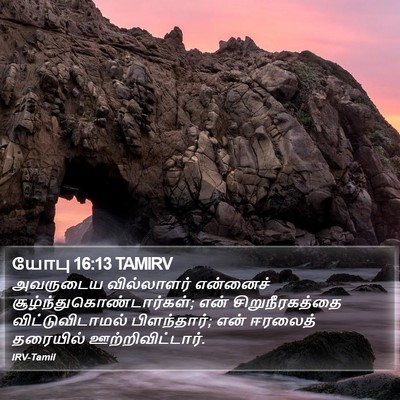 யோபு 16:13 TAMIRV Bible Verse Image