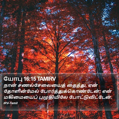 யோபு 16:15 TAMIRV Bible Verse Image