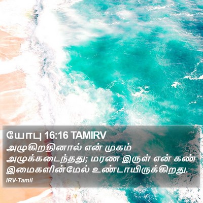 யோபு 16:16 TAMIRV Bible Verse Image