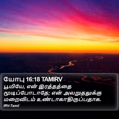 யோபு 16:18 TAMIRV Bible Verse Image