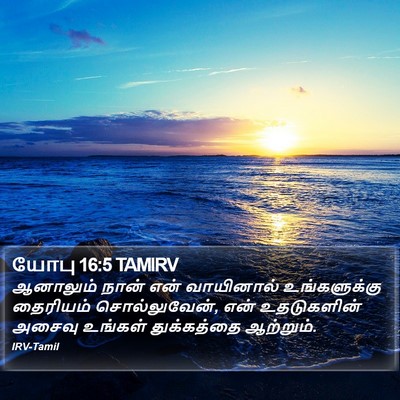 யோபு 16:5 TAMIRV Bible Verse Image