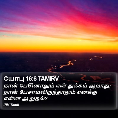 யோபு 16:6 TAMIRV Bible Verse Image