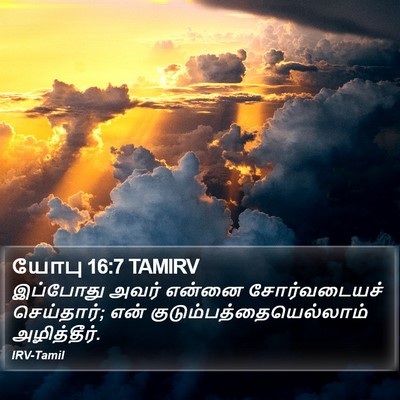 யோபு 16:7 TAMIRV Bible Verse Image