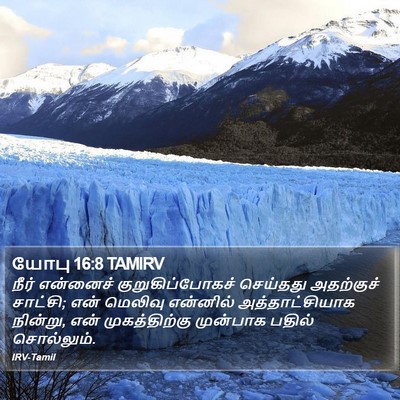 யோபு 16:8 TAMIRV Bible Verse Image