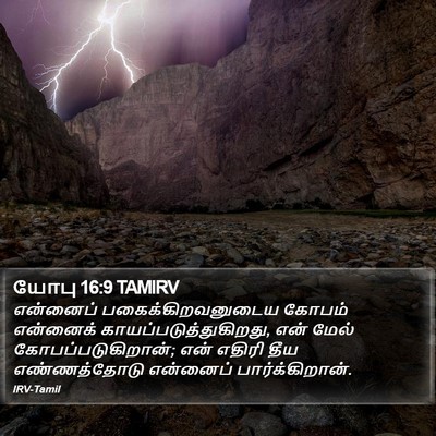 யோபு 16:9 TAMIRV Bible Verse Image