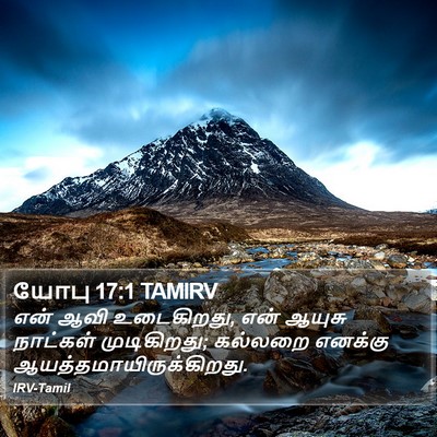 யோபு 17:1 TAMIRV Bible Verse Image