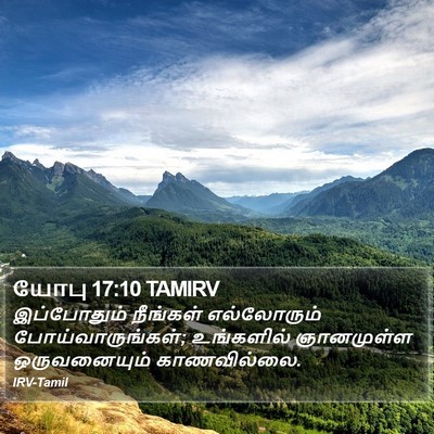 யோபு 17:10 TAMIRV Bible Verse Image