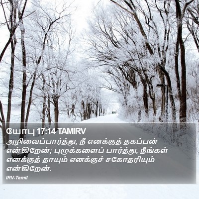 யோபு 17:14 TAMIRV Bible Verse Image