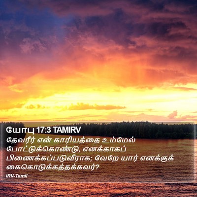 யோபு 17:3 TAMIRV Bible Verse Image