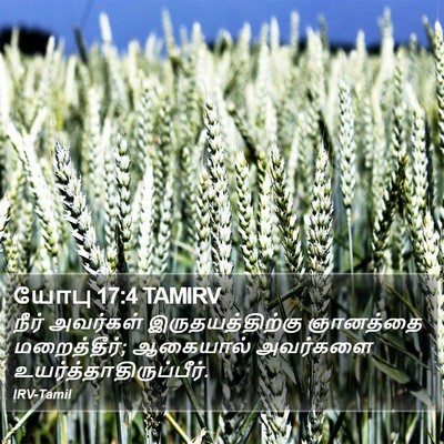 யோபு 17:4 TAMIRV Bible Verse Image