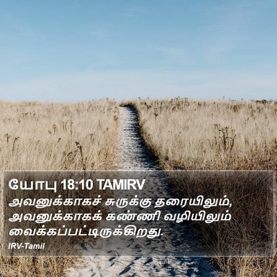 யோபு 18:10 TAMIRV Bible Verse Image