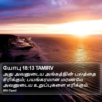 யோபு 18:13 TAMIRV Bible Verse Image