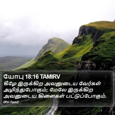 யோபு 18:16 TAMIRV Bible Verse Image