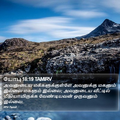 யோபு 18:19 TAMIRV Bible Verse Image