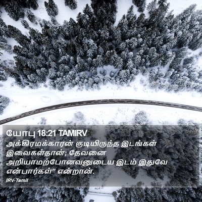 யோபு 18:21 TAMIRV Bible Verse Image