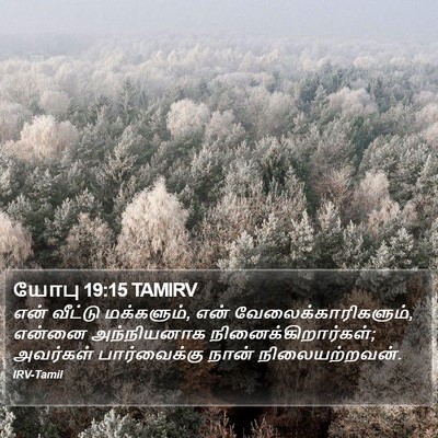 யோபு 19:15 TAMIRV Bible Verse Image