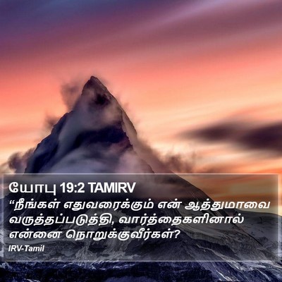 யோபு 19:2 TAMIRV Bible Verse Image