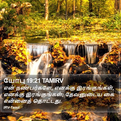 யோபு 19:21 TAMIRV Bible Verse Image