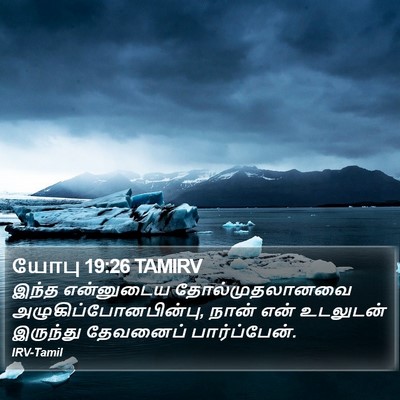 யோபு 19:26 TAMIRV Bible Verse Image