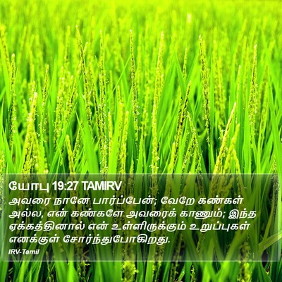 யோபு 19:27 TAMIRV Bible Verse Image