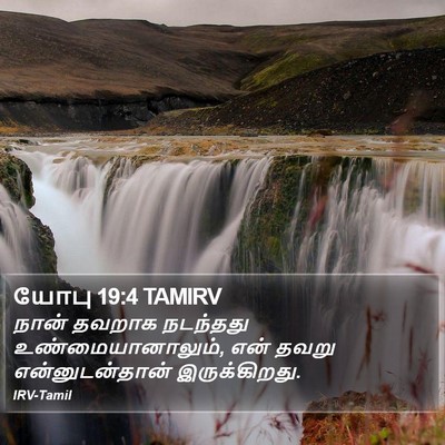யோபு 19:4 TAMIRV Bible Verse Image
