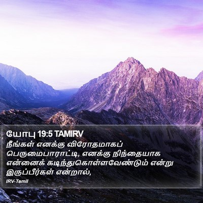 யோபு 19:5 TAMIRV Bible Verse Image