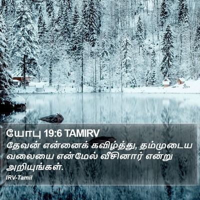 யோபு 19:6 TAMIRV Bible Verse Image