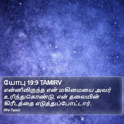 யோபு 19:9 TAMIRV Bible Verse Image