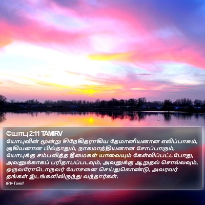 யோபு 2:11 TAMIRV Bible Verse Image