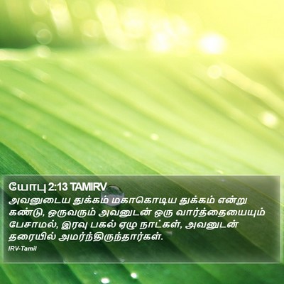 யோபு 2:13 TAMIRV Bible Verse Image
