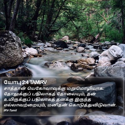 யோபு 2:4 TAMIRV Bible Verse Image
