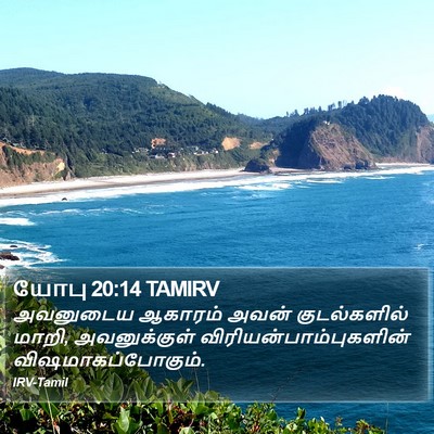 யோபு 20:14 TAMIRV Bible Verse Image