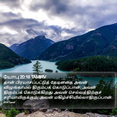 யோபு 20:18 TAMIRV Bible Verse Image