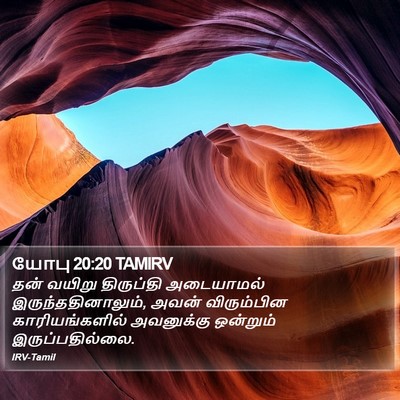 யோபு 20:20 TAMIRV Bible Verse Image