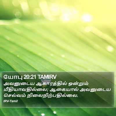 யோபு 20:21 TAMIRV Bible Verse Image