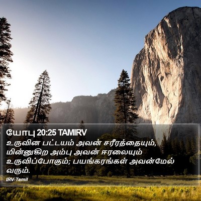 யோபு 20:25 TAMIRV Bible Verse Image
